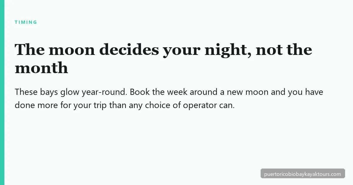The best time to see a bioluminescent bay in Puerto Rico is the week around a new moon