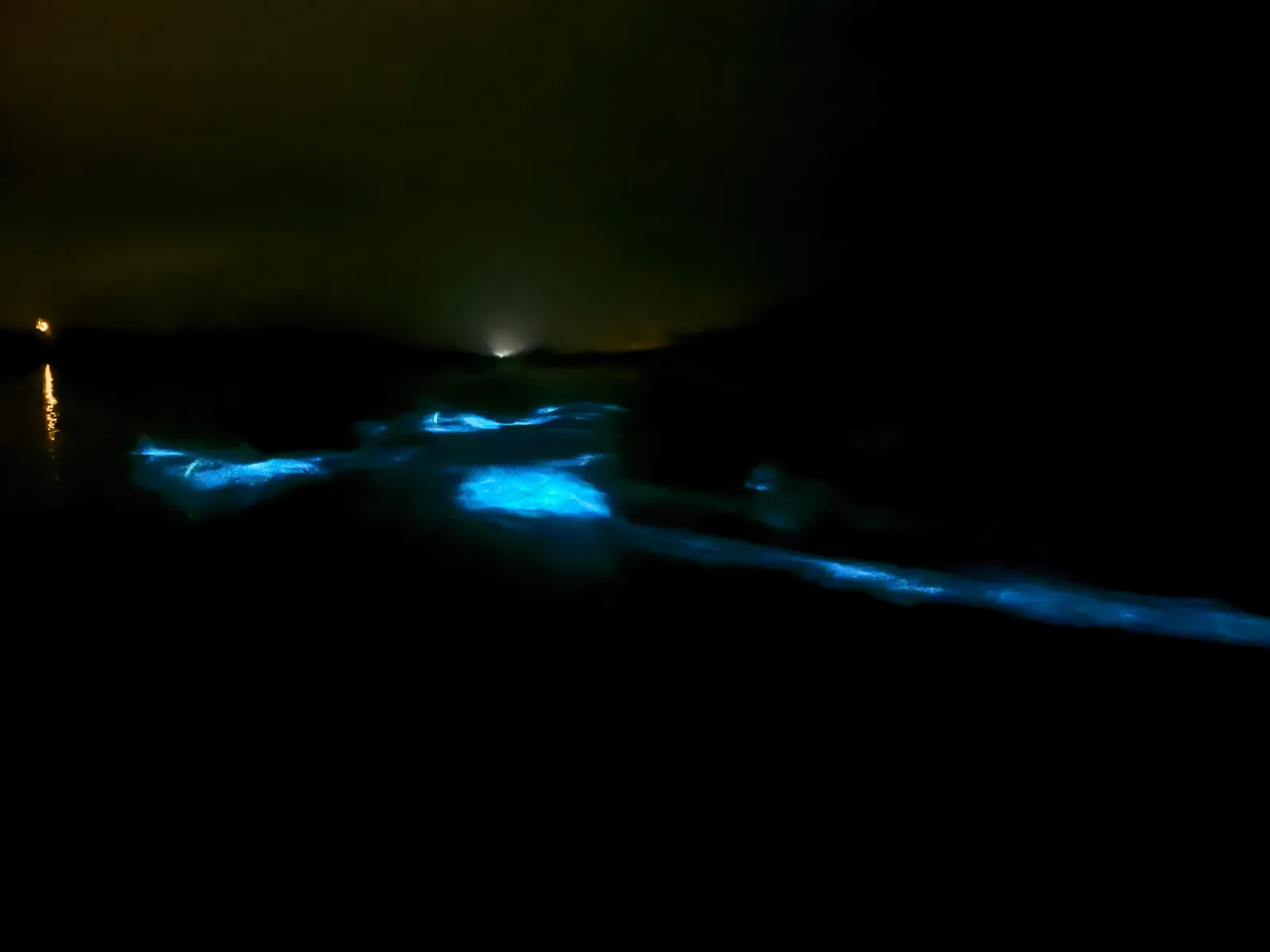 Transparent Canoe in the Bioluminescent Bay in Vieques - photo 2