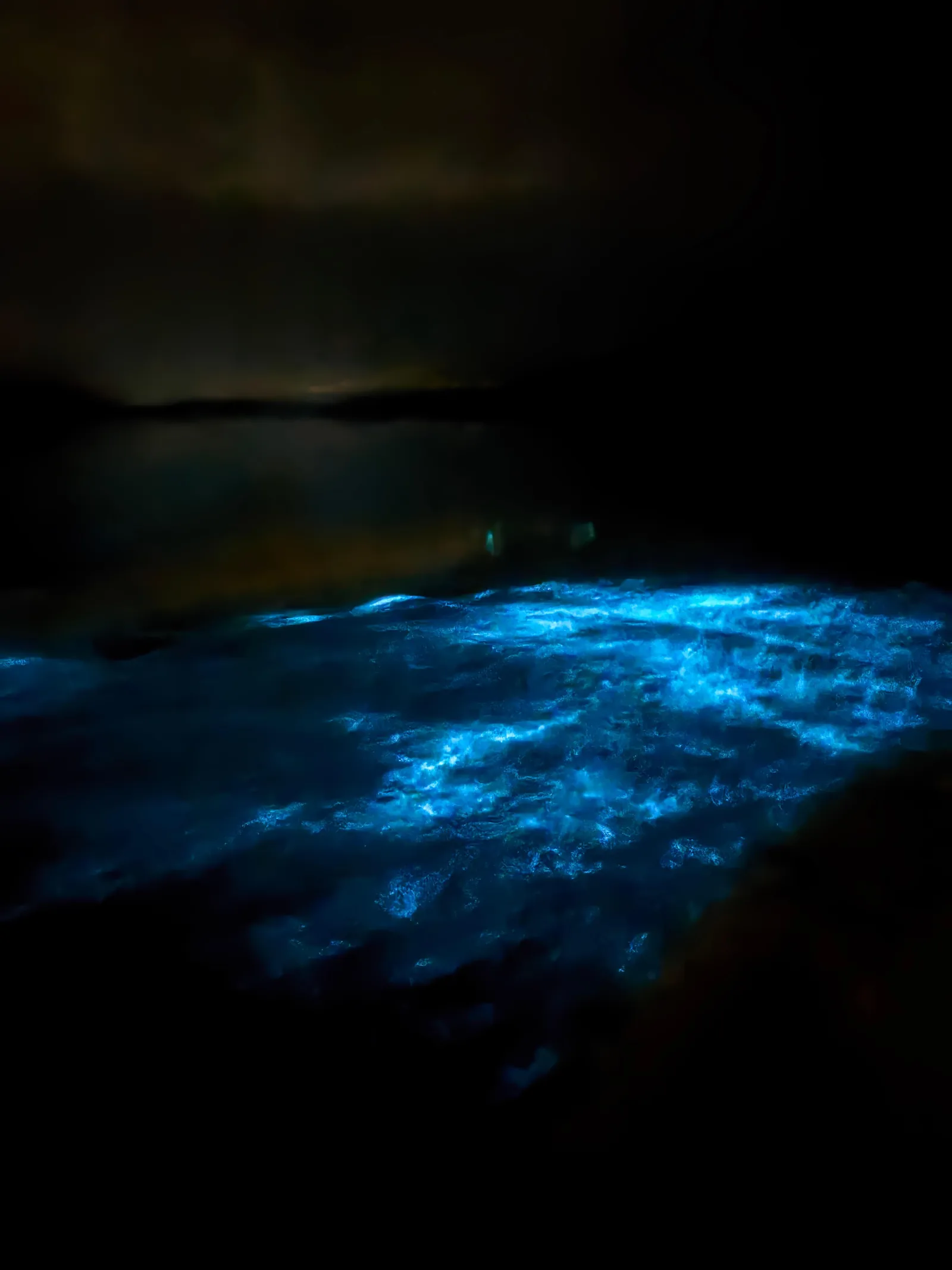 Transparent Canoe in the Bioluminescent Bay in Vieques - photo 3