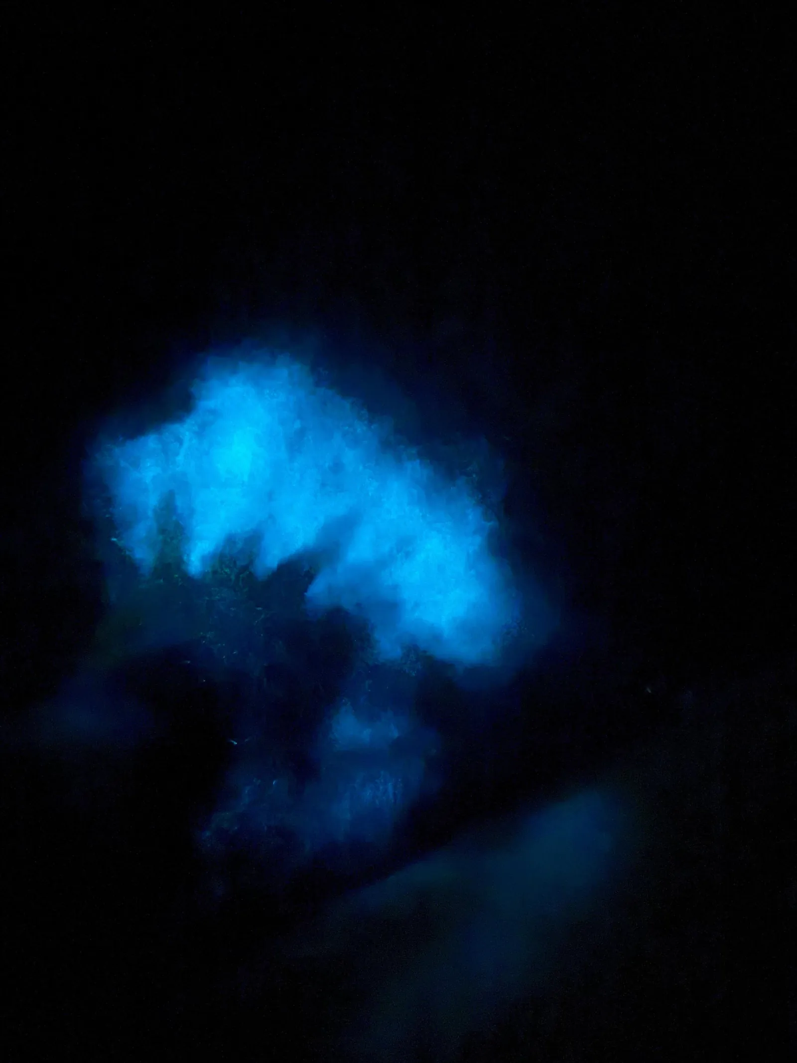 Transparent Canoe in the Bioluminescent Bay in Vieques - photo 5
