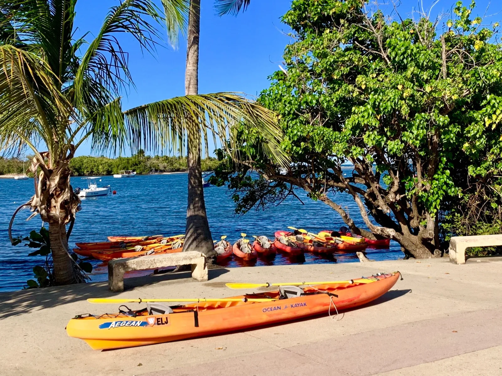 Fajardo: Bioluminescent Lagoon Kayak or Full Moon Kayak Tour