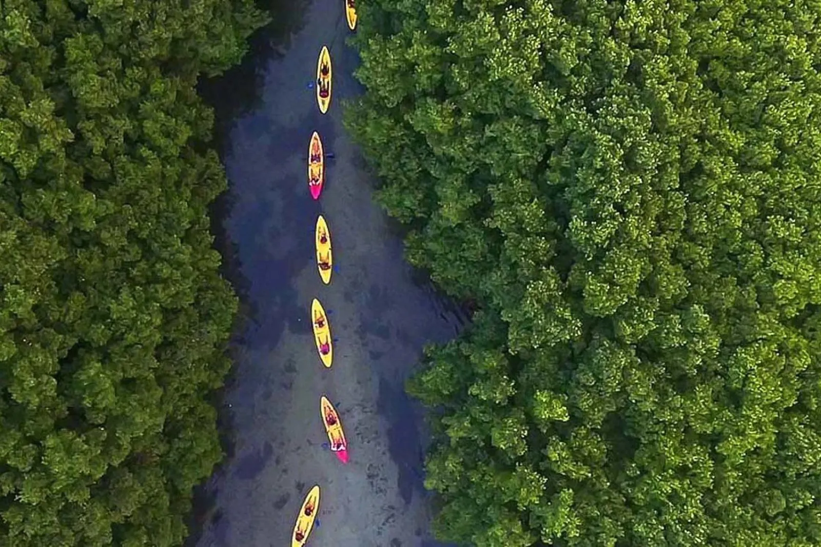 San Juan: El Yunque and Bio Bay Full-Day Tour with Transport - photo 4