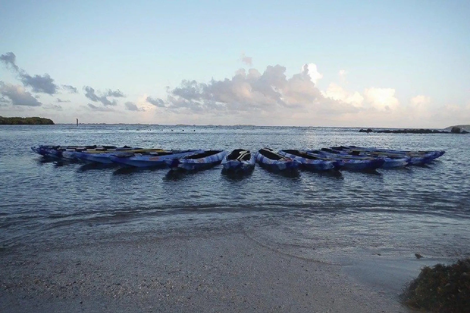 From San Juan: Bioluminescent Bay Kayak Adventure at Night - photo 3