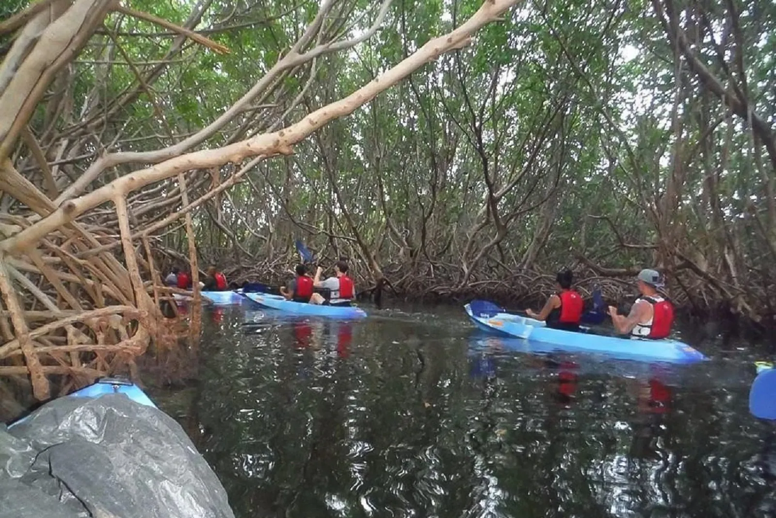 From San Juan: Bioluminescent Bay Kayak Adventure at Night - photo 4