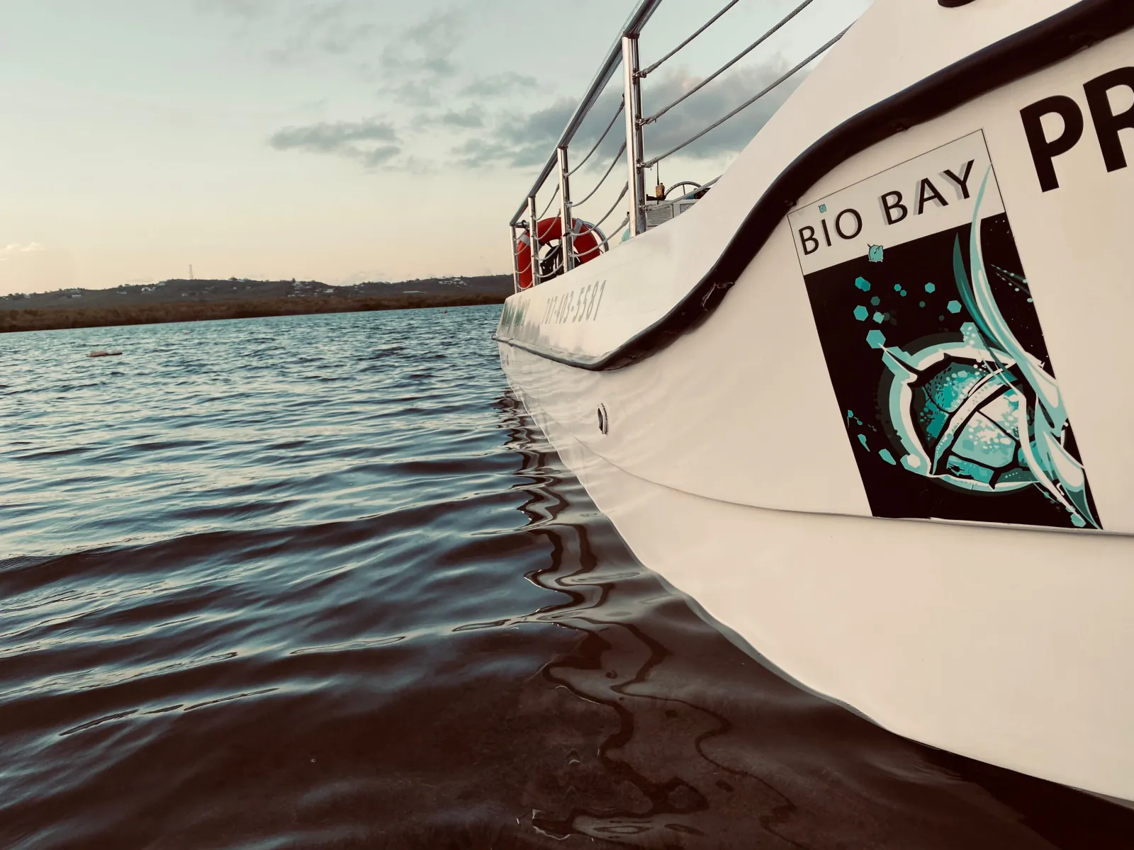 Vieques: Bioluminescent Bay Boat Tour - photo 2