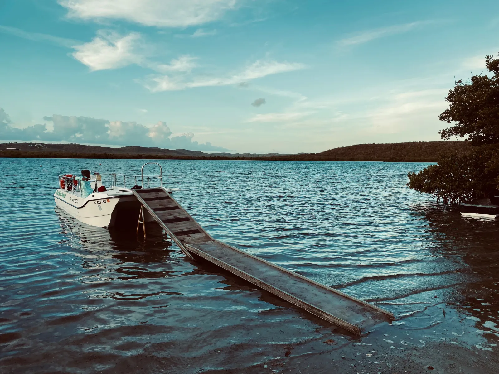 Vieques: Bioluminescent Bay Boat Tour - photo 3