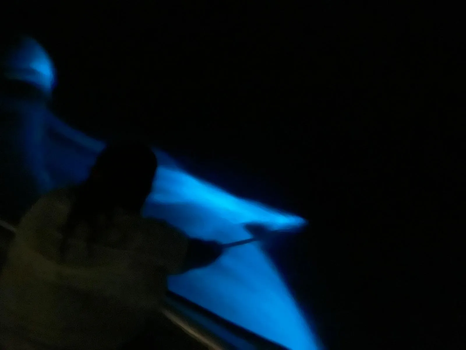 Vieques: Bioluminescent Bay Boat Tour - photo 5