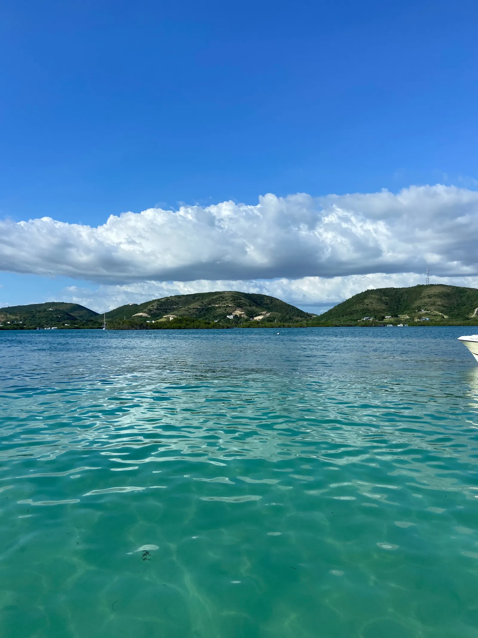 La Parguera: Sunset and Biobay or Late Night Biobay Cruise - photo 5