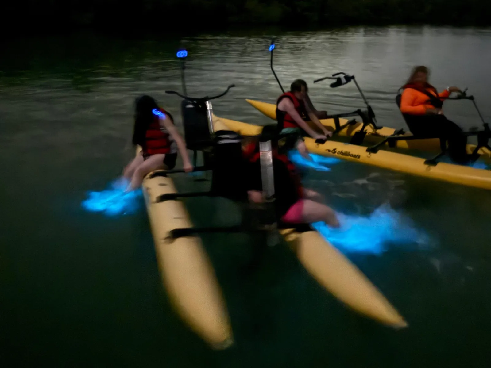 La Parguera: Bioluminescent Bay Water Bike Tour - photo 2