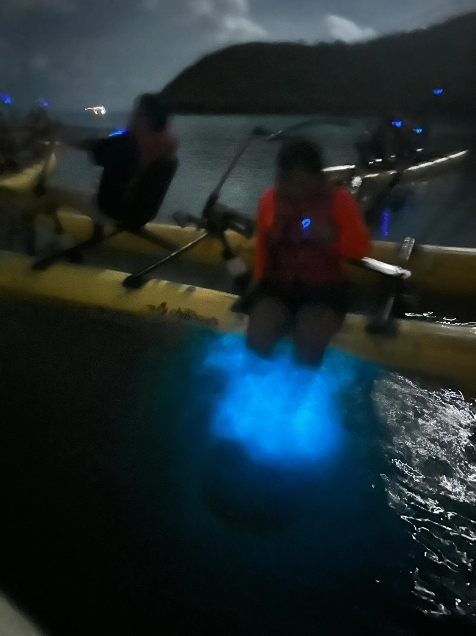 La Parguera: Bioluminescent Bay Water Bike Tour - photo 3