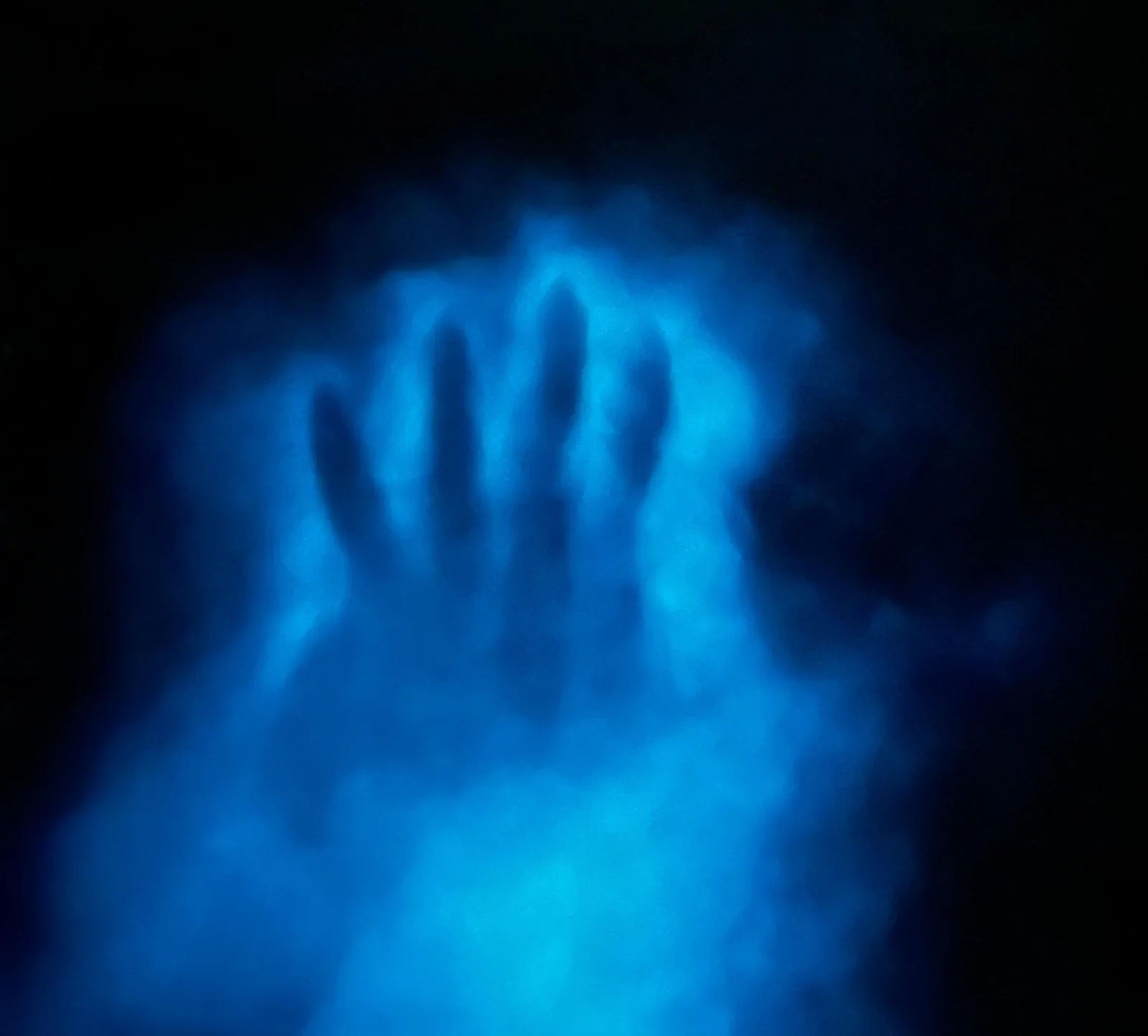 La Parguera: Bioluminescent Bay Water Bike Tour - photo 4