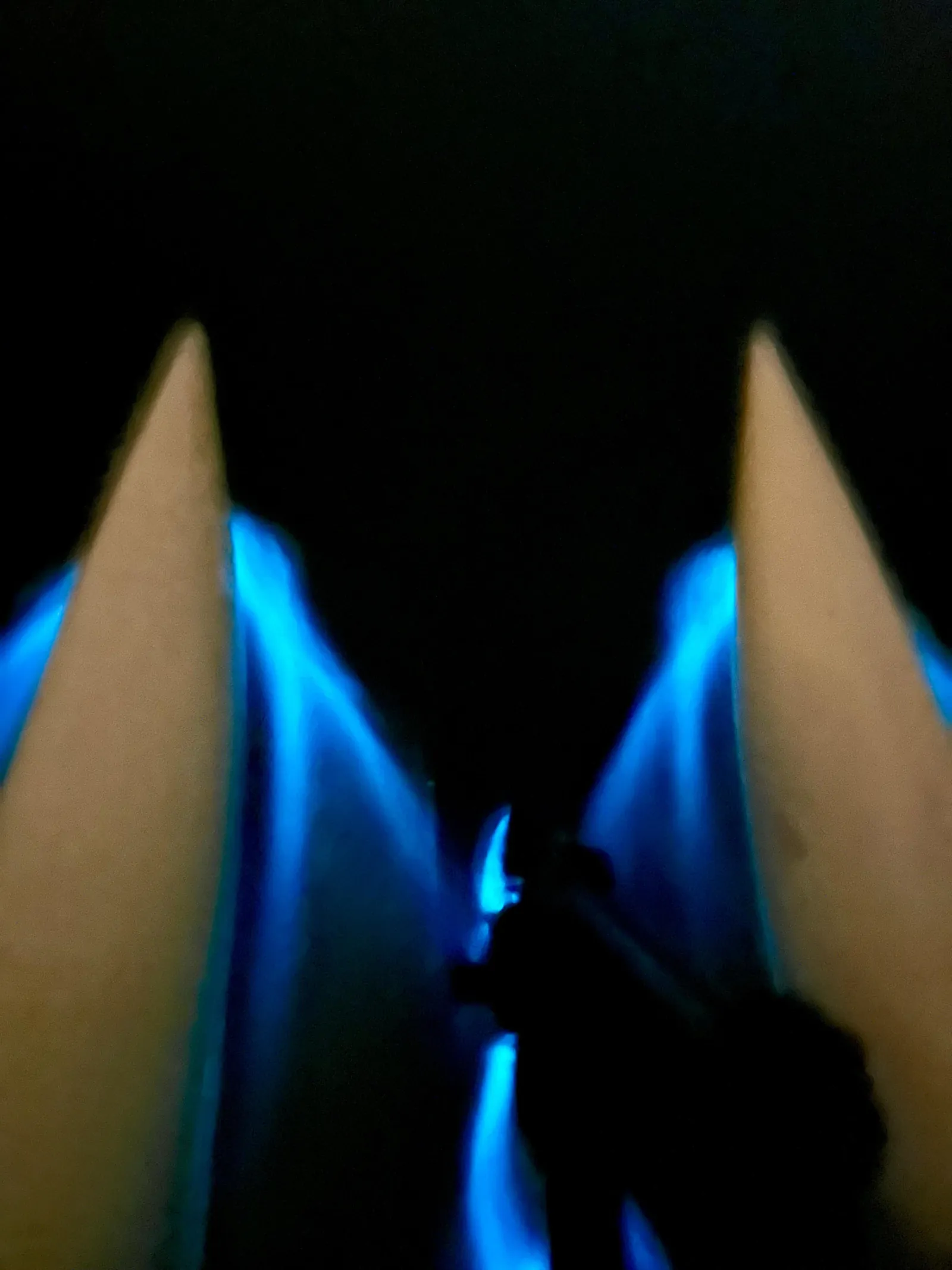 La Parguera: Bioluminescent Bay Water Bike Tour - photo 5