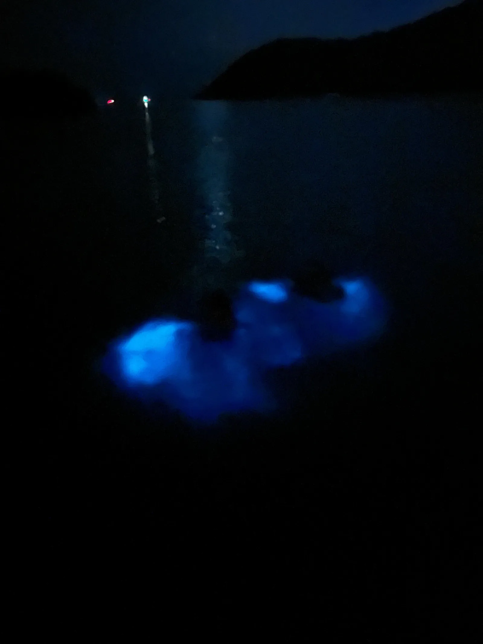 La Parguera: Bioluminescent Bay Boat Tour - photo 2
