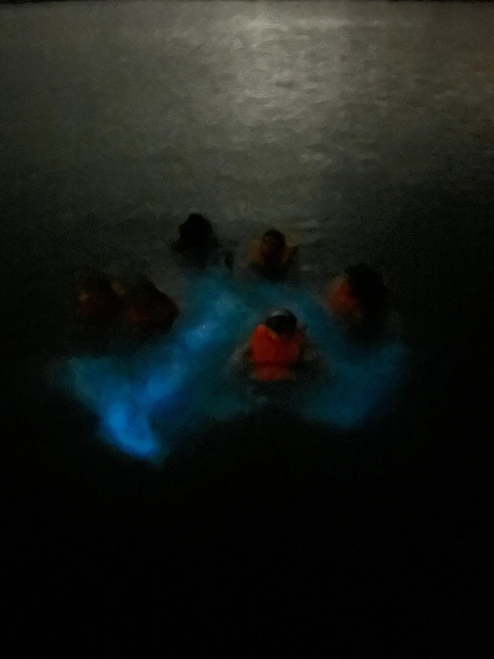 La Parguera: Bioluminescent Bay Boat Tour - photo 3