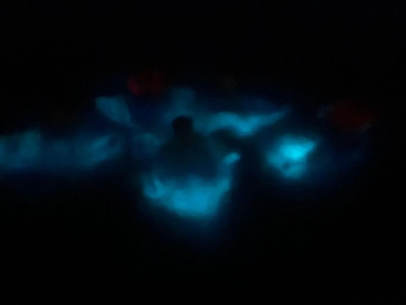 La Parguera: Bioluminescent Bay Boat Tour - photo 5