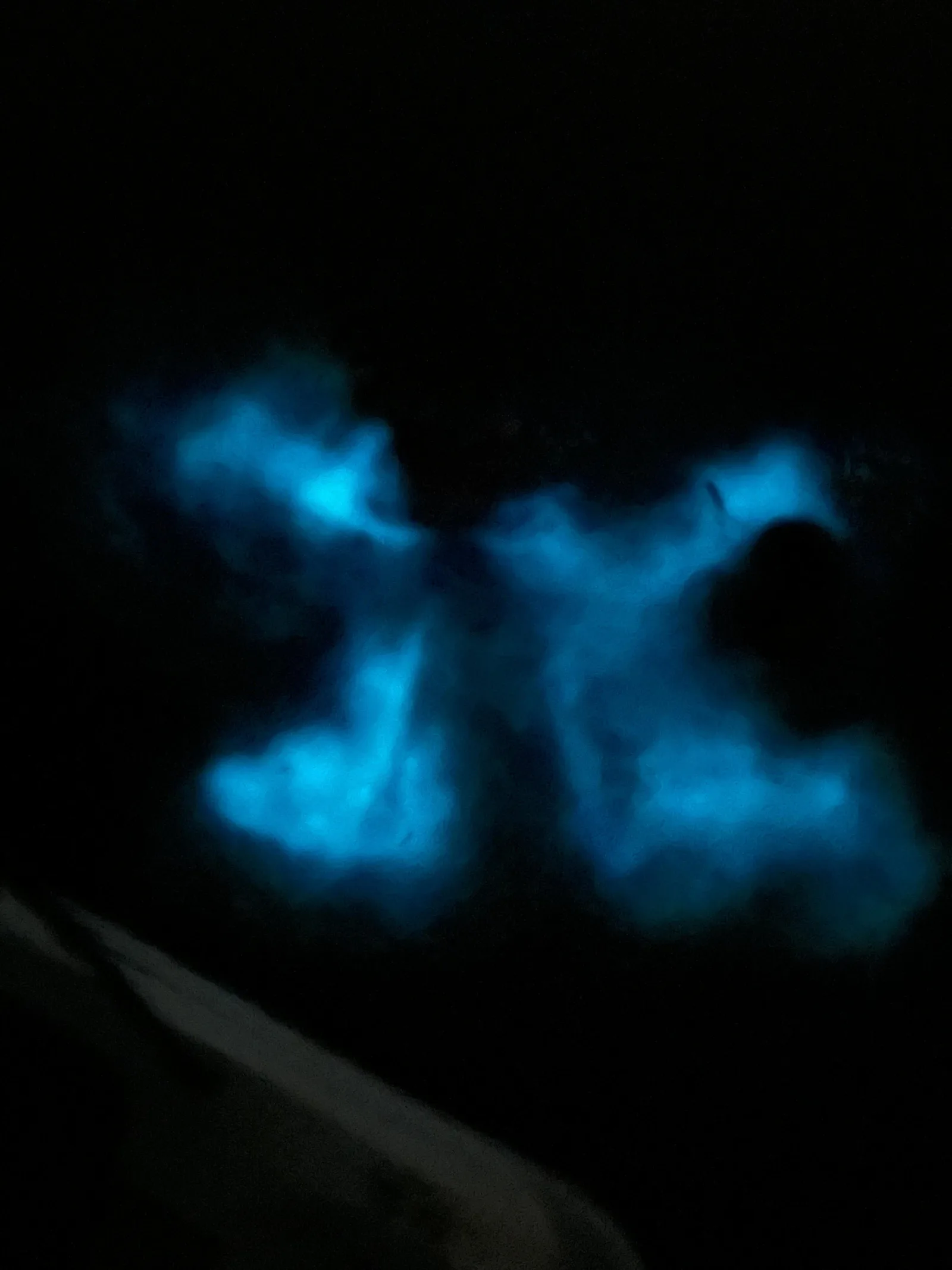 La Parguera: Bioluminescent Bay Boat Tour