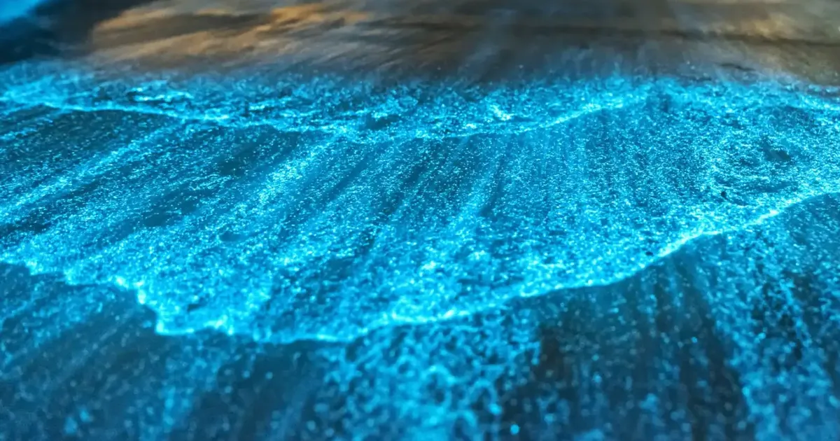 Glowing water at night in Mosquito Bay, the reason most visitors plan the trip to Vieques