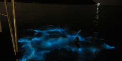 Guest photo from review